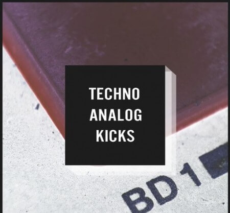 Whitenoise Records Techno Analog Kicks B WAV